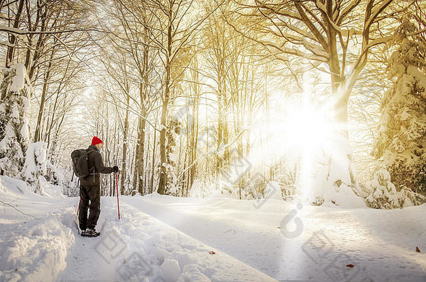 徒步旅行者站在覆盖着新鲜深雪的小山上的森林里，看着太阳。