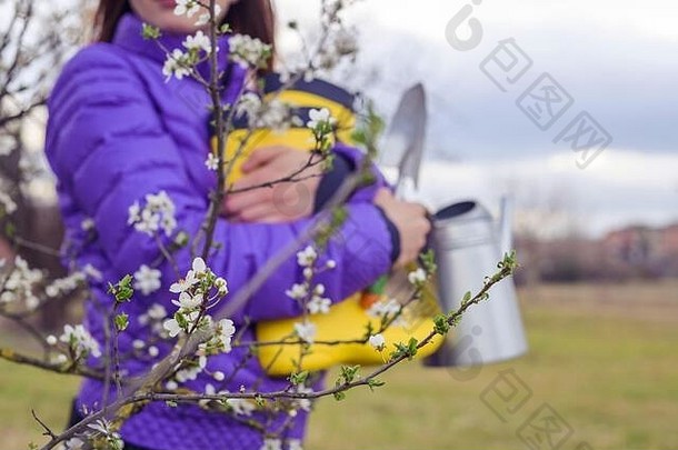 一个穿着紫色夹克的女孩手里拿着亮黄色的胶靴，一个水壶，一把铁锹。花园里树木的开花期。软焦点。细节不清晰。拷贝空间