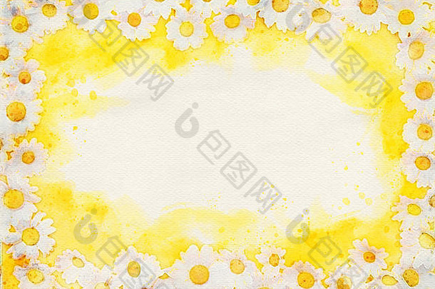 镶有水彩画的黄色背景和美丽的白色雏菊