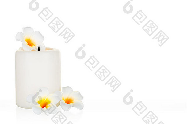 白色背景上的蜡烛花和紫罗兰花相互隔离