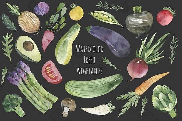 水彩蔬菜配卷心菜、芽甘蓝、朝鲜蓟、芦笋和花椰菜