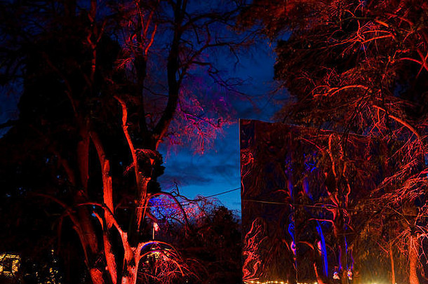 在12月期间，树木接受日内瓦/瑞士艺术家创作的发光装饰物