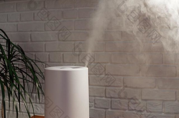 家用加湿器将蒸汽传播到客厅