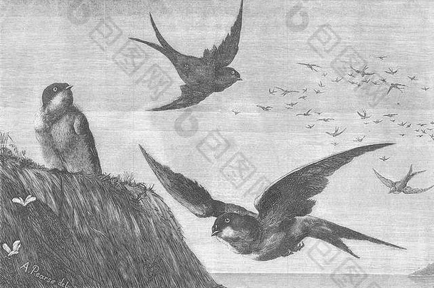 1877年《燕子归来》。绘画世界