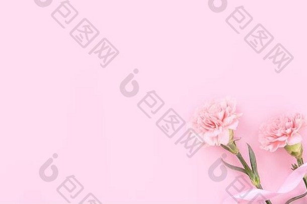 母亲节设计理念-淡粉色背景上的粉色康乃馨，带有感恩贺卡和文字，俯视图，平面布置，空间