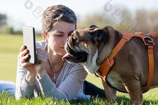 灰色的女人在一本电子书上展示了一只狗/英国斗牛犬，躺在阳光普照的温暖的一天的草地上。
