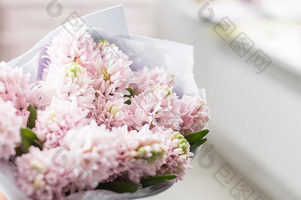 花束。阳光明媚的春天早晨。年轻快乐的女人手里拿着一束漂亮的粉红色风信子。送给微笑女孩的礼物。