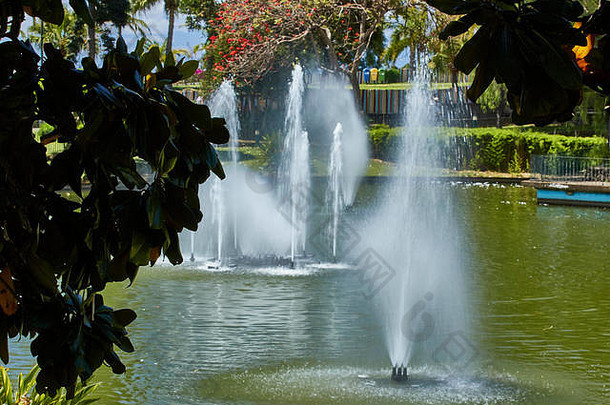 欧盟葡萄牙马德拉Funchal圣卡塔里纳公园景观中的喷泉