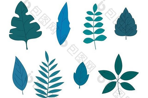 一套8种不同的盆栽植物。平淡现代风格的老式色彩。白色背景上的手工画。