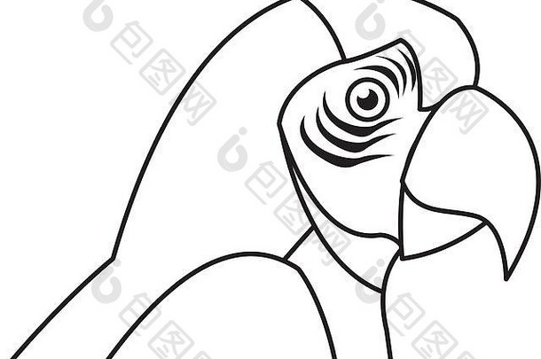 金刚鹦鹉亚马逊鸟巴西野生动物图像