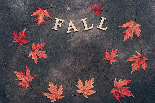 秋天的枫树红叶构成了一个黑暗的乡村背景，这个词是从木制字母中掉下来的。俯视图、平面布局、空间。