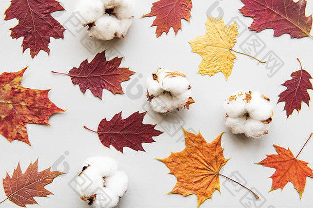 秋季作文。框架由棉花制成，白色背景上的干叶。秋天，秋天的概念。平面布局、俯视图、空间