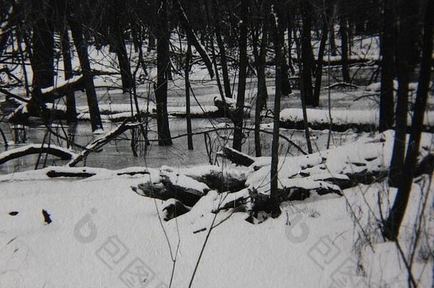 细古董黑色的白色生活方式摄影草幸存的冬<strong>天降</strong>雪