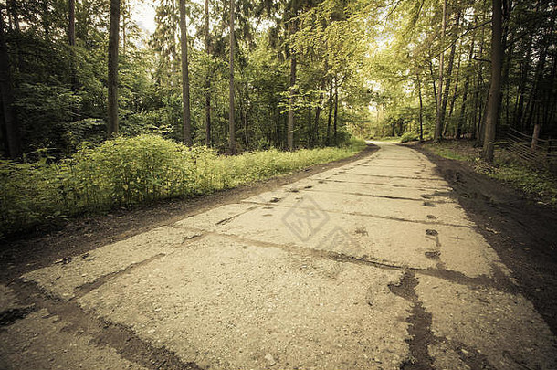 景观森林里的乡村旧水泥路。
