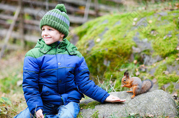 可爱的男孩喂养松鼠秋天公园