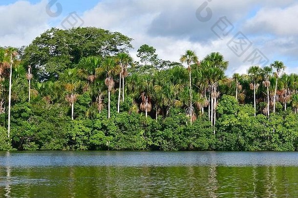 湖桑多瓦尔坦博帕塔国家储备秘鲁南美国