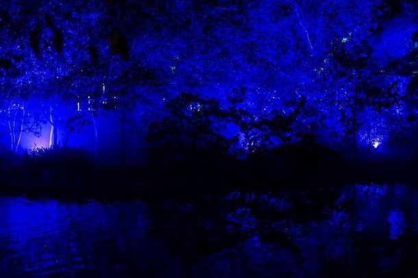 光影迷幻森林-幽灵般的夜池景色