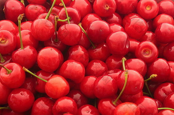 大量新鲜选红色的樱桃