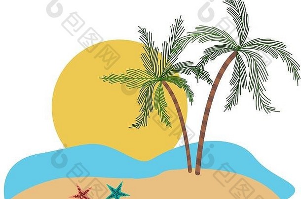 颜色轮廓景观海大太阳棕榈树