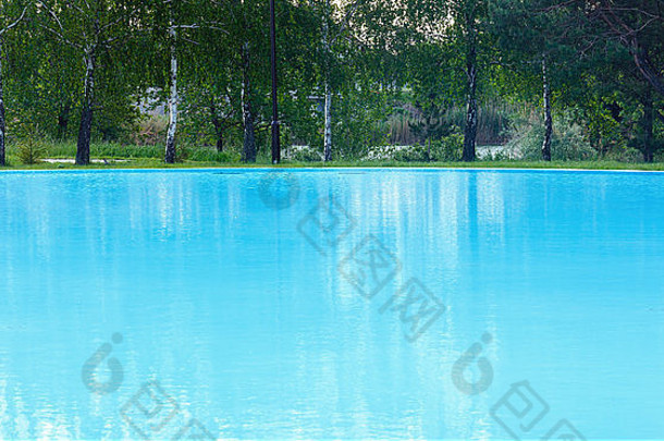 户外游泳池视图树反射水表面