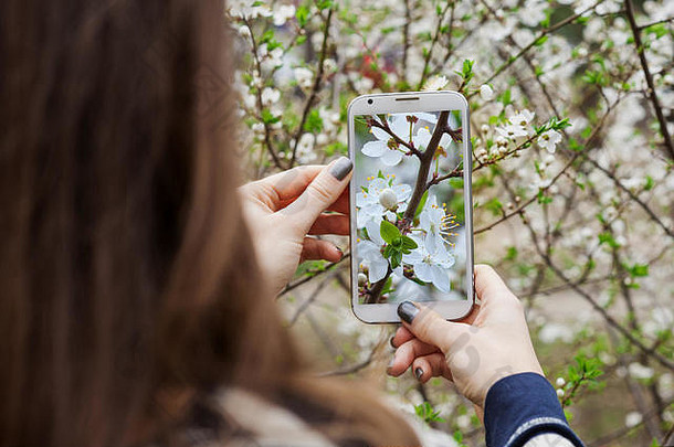 年轻的女人需要照片智能手机盛开的春天树