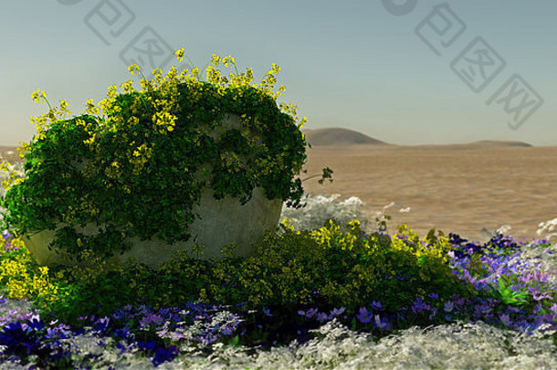 含石头和开花植物的沙漠景观的三维计算机图形