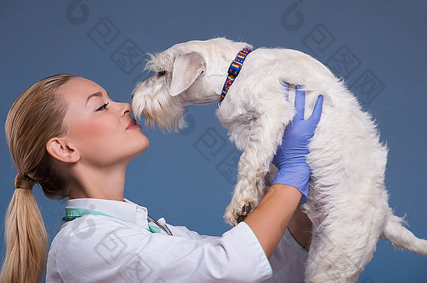 兽医持有可爱的狗头