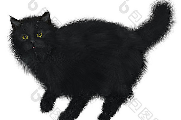 黑猫是万圣节的精神象征之一。