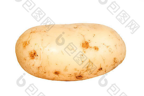 棕色（的）新鲜的土豆深点白色背景