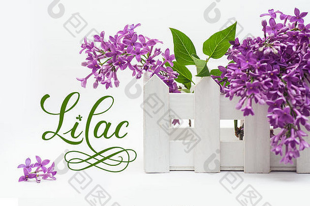 美丽的花束，白色背景上的小栅栏和紫丁香