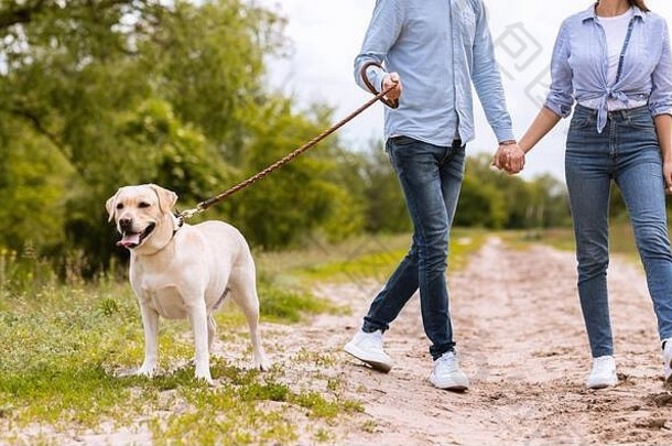 这对夫妇和他们的猎犬一起在乡下散步