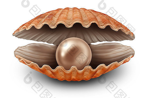 珍珠在一个开放的海贝壳作为一个罕见的财富发现和财富的隐喻作为一个贝壳与一个宝贵的天然珍贵的球体内的白色背景。
