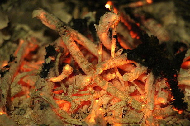 当干燥的<strong>树</strong>枝在壁炉中燃烧时，一旦材料大部分烧尽，就会发出灼热。