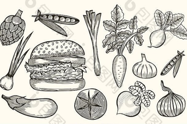 彩色蔬菜黑白搭配汉堡包。番茄、胡萝卜、茄子、洋葱、甜菜、萝卜素描