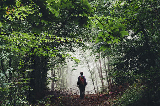 男人。徒步旅行有雾的森林路径绿色树叶郁郁葱葱的植被夏天景观