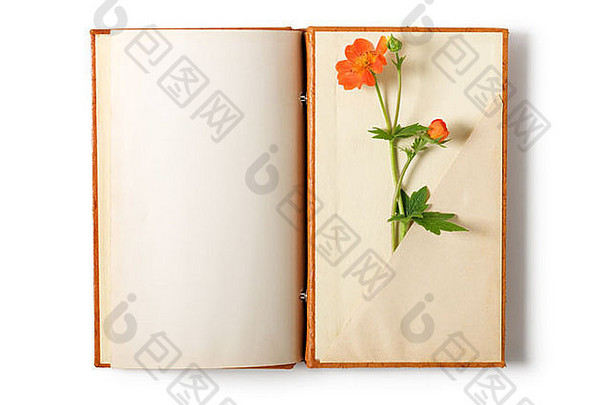 白色背景上开着夏日花朵的旧笔记本