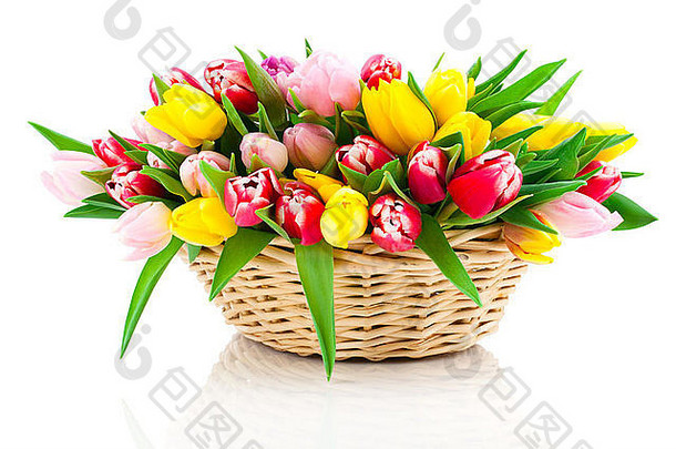 春天郁金香木篮子白色背景快乐母亲一天浪漫的生活新鲜的花