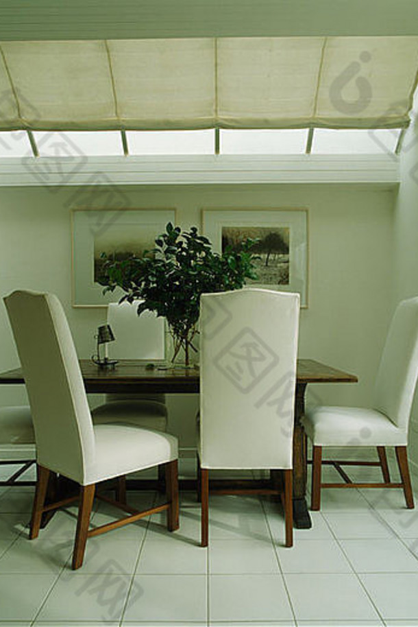 白色软垫高背椅椅子白色平铺的地板上现代白色餐厅房间扩展白色盲目的玻璃屋顶