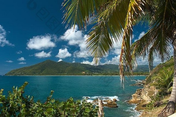 波多黎各rico风景优美的海岸