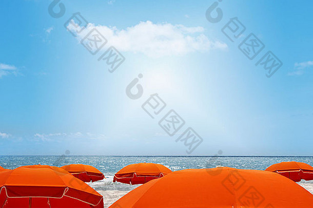 迈阿密海滩上的阳伞
