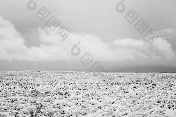 怀俄明州农村的一片开阔的<strong>山艾树</strong>草原，覆盖着春天的积雪。