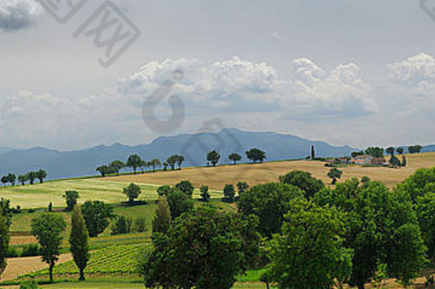 意大利翁布里亚农田和马尔塔尼山脉起伏的丘陵全景图