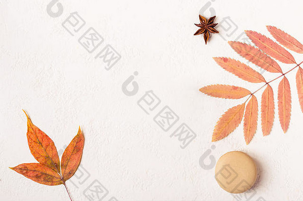 简约的白色秋季背景，杏仁饼干和五颜六色的叶子。