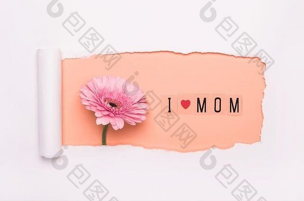 有创意的布局使爱妈妈文本粉红色的非洲菊花桃子背景简单的撕裂洞纸艺术爱妈妈概念