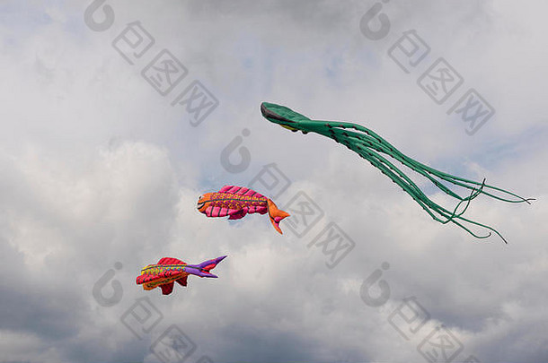 莫斯科—8月27日：2017年8月27日，俄罗斯莫斯科公园举行风筝盛宴