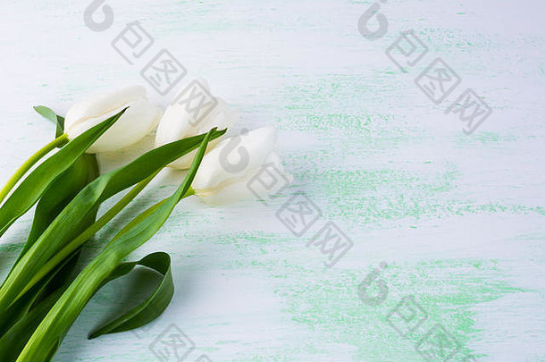 白色花束花卉背景。花架。花背景。花束。贺卡。母亲节。花。F