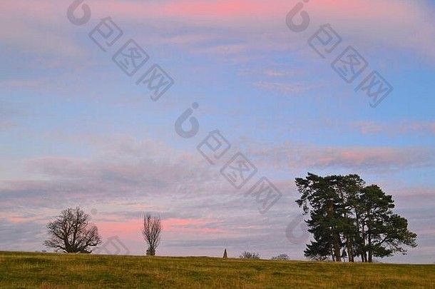 2019<strong>年底</strong>，肯特郡塞维诺克斯Knole Park，午后的冬季天空五彩缤纷，松树参天