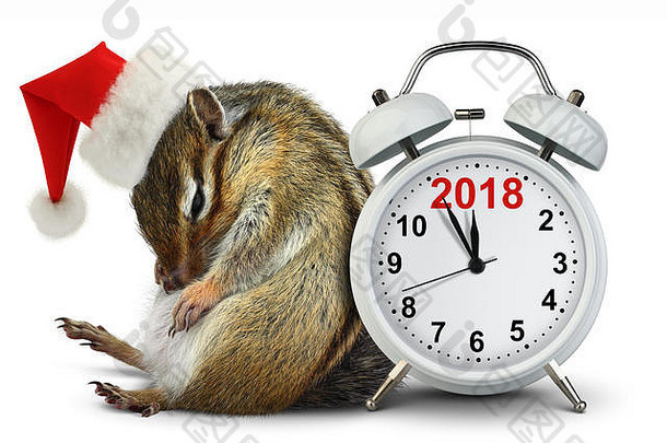 2018年新年，戴着圣诞老人红帽子的滑稽花栗鼠