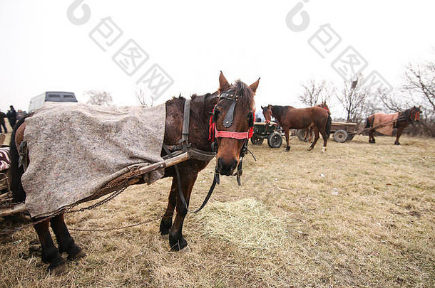 罗马尼亚农村装饰马的细节