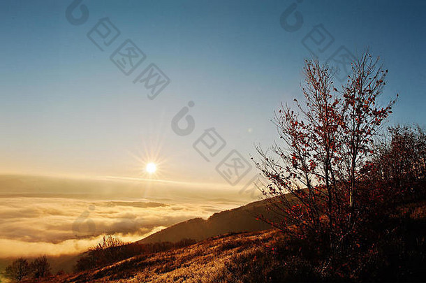 秋天的旅行背景是喀尔巴阡山脉在雾中和晨曦中美丽如画的景色。非盟世界之美